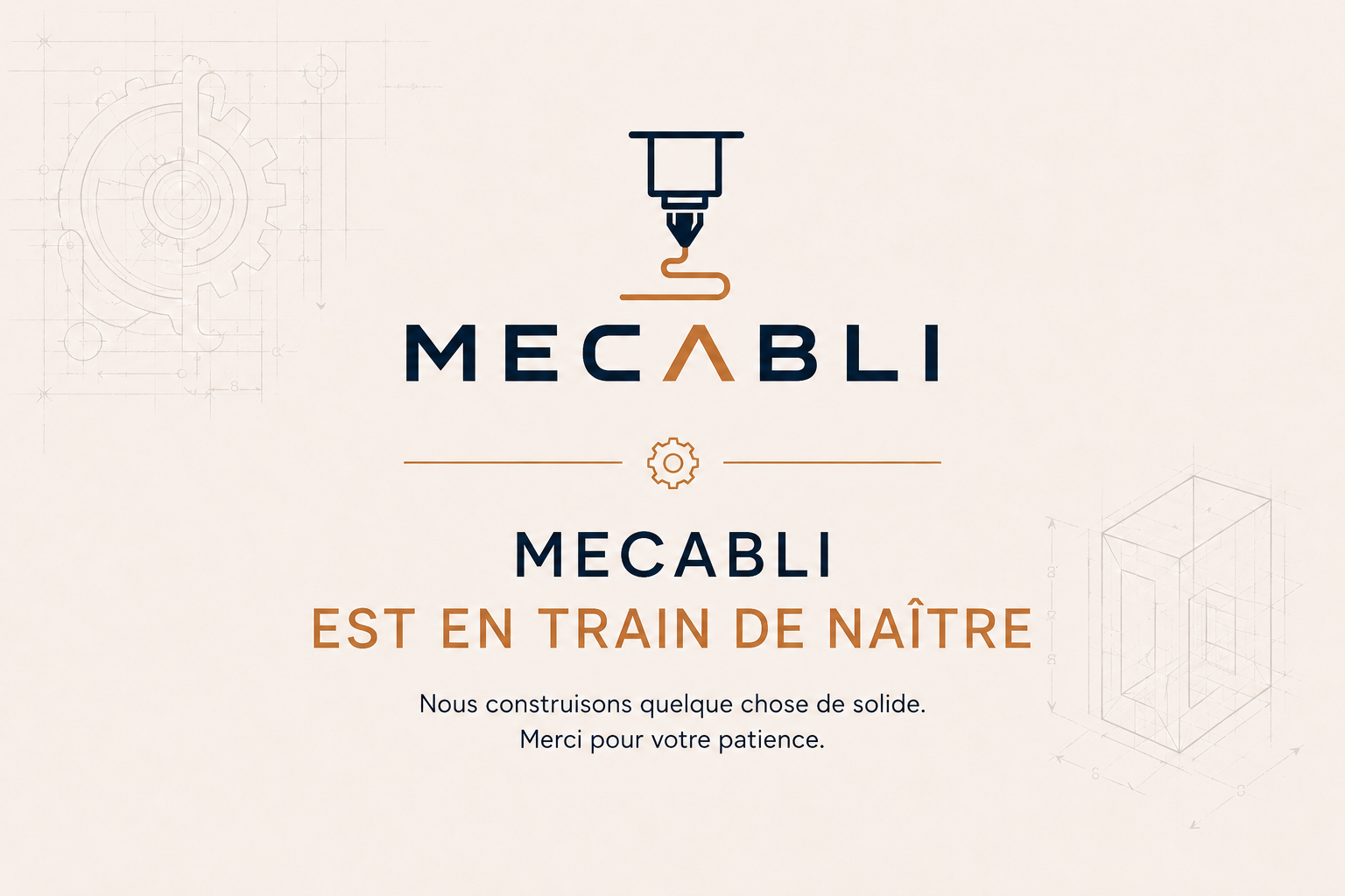 Mecabli est en train de naître. Nous construisons quelque chose de solide. Merci pour votre patience.
